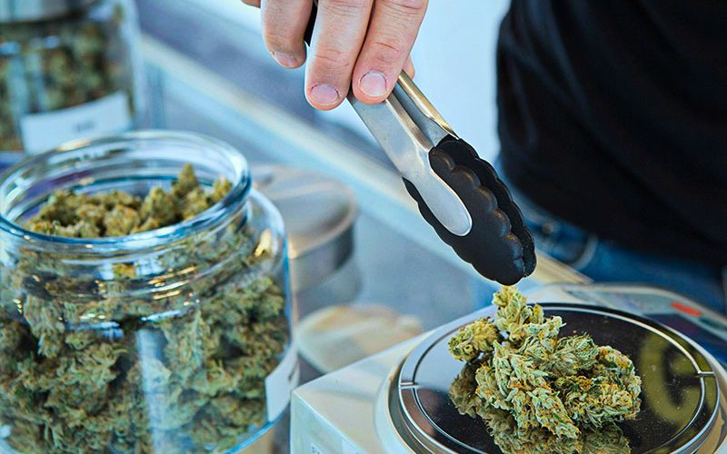 cannabish-premium-flower-in-arizona